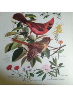 ARTHUR SINGER BIRD PRINTS, SET OF 8, 1950'S, FOR AMERICAN HOME MAGAZINE- Rare